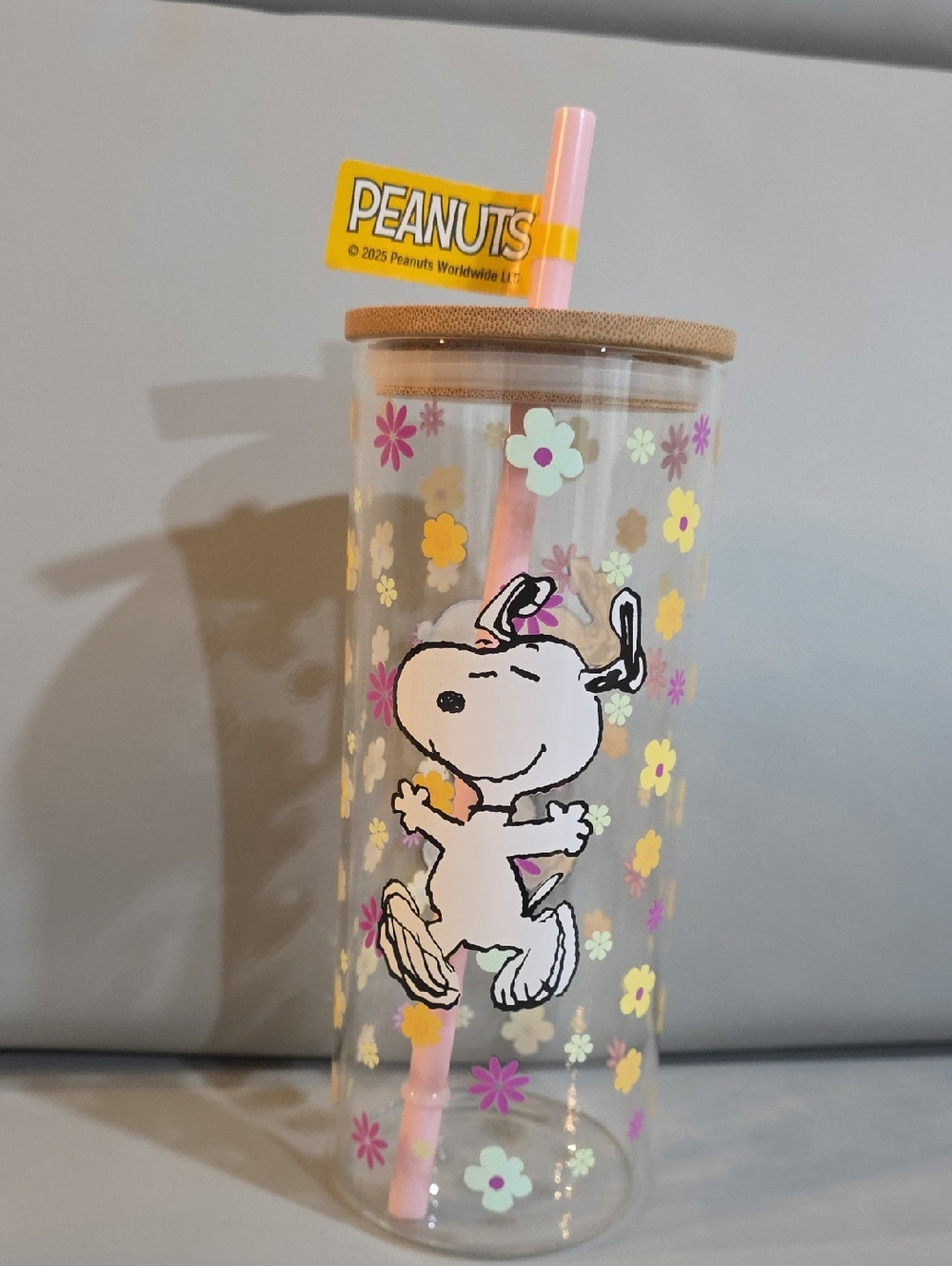 Peanuts Snoopy Dancing Glass Tumbler With Straw And Bamboo Gasketed Lid NWT